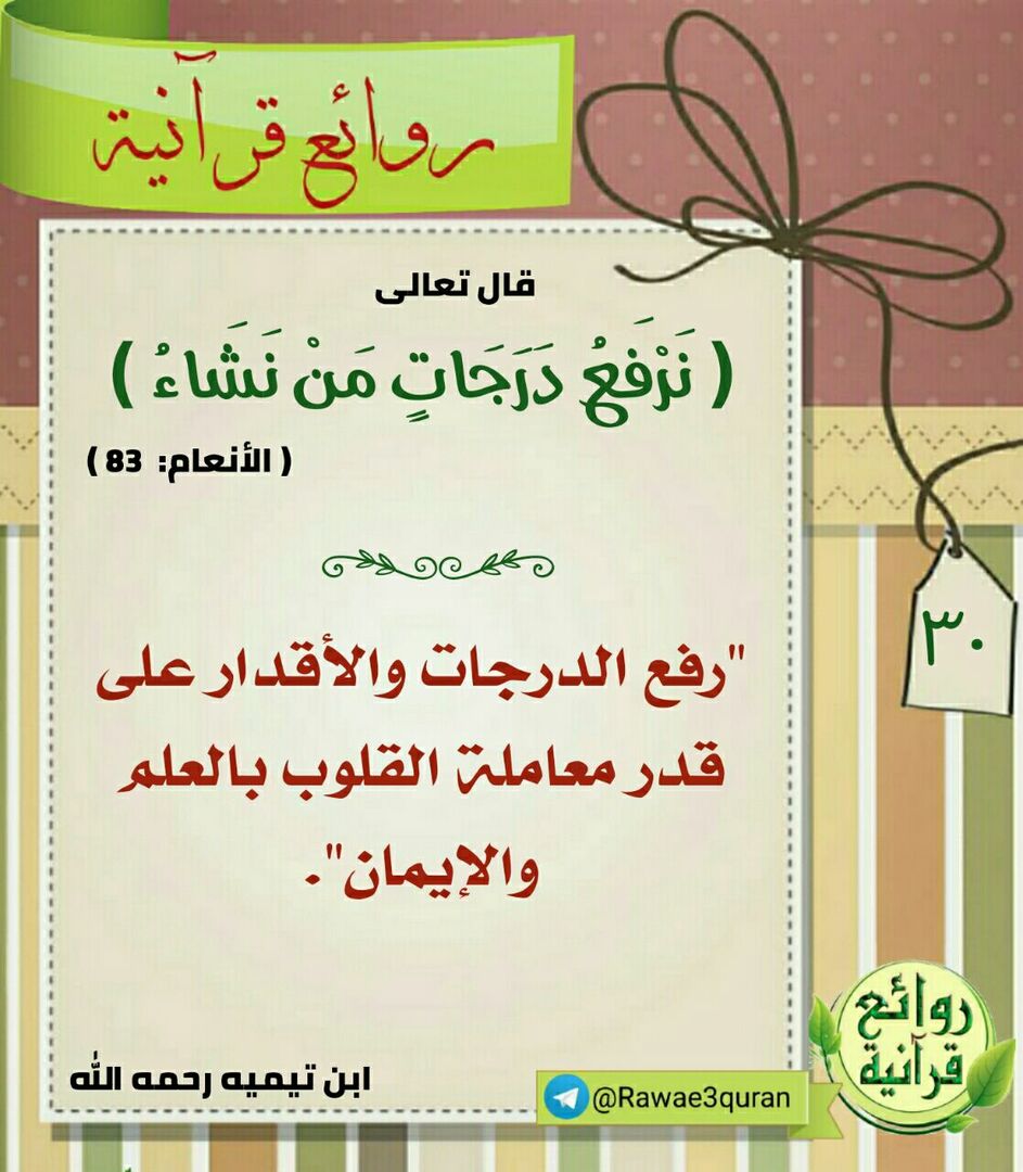 الفائدة الأولى