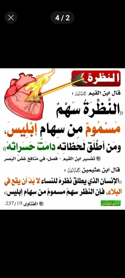 النظرة