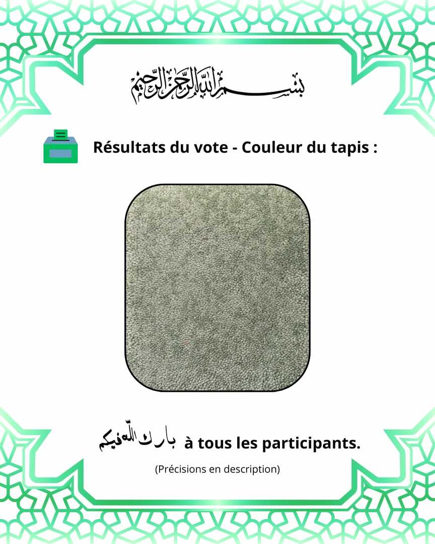 Consultation teinte du futur tapis