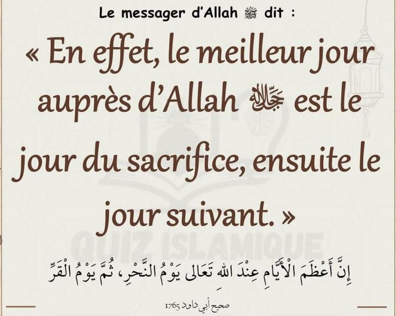 Rappel